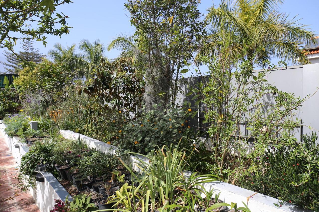 Jungle Paradise *