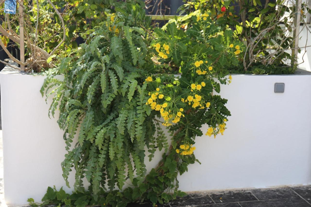 Apartment Jungle Paradise La Orotava